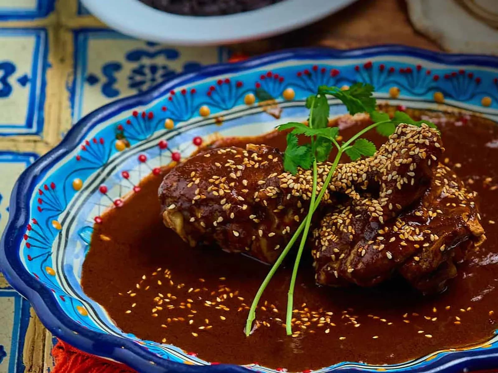 Mole poblano at El Maguey in Jackson Heights